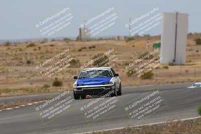 media/May-03-2025-Lucky Dog Racing (Sat) [[206de64b9d]]/Turn 6 (150pm-230pm)/